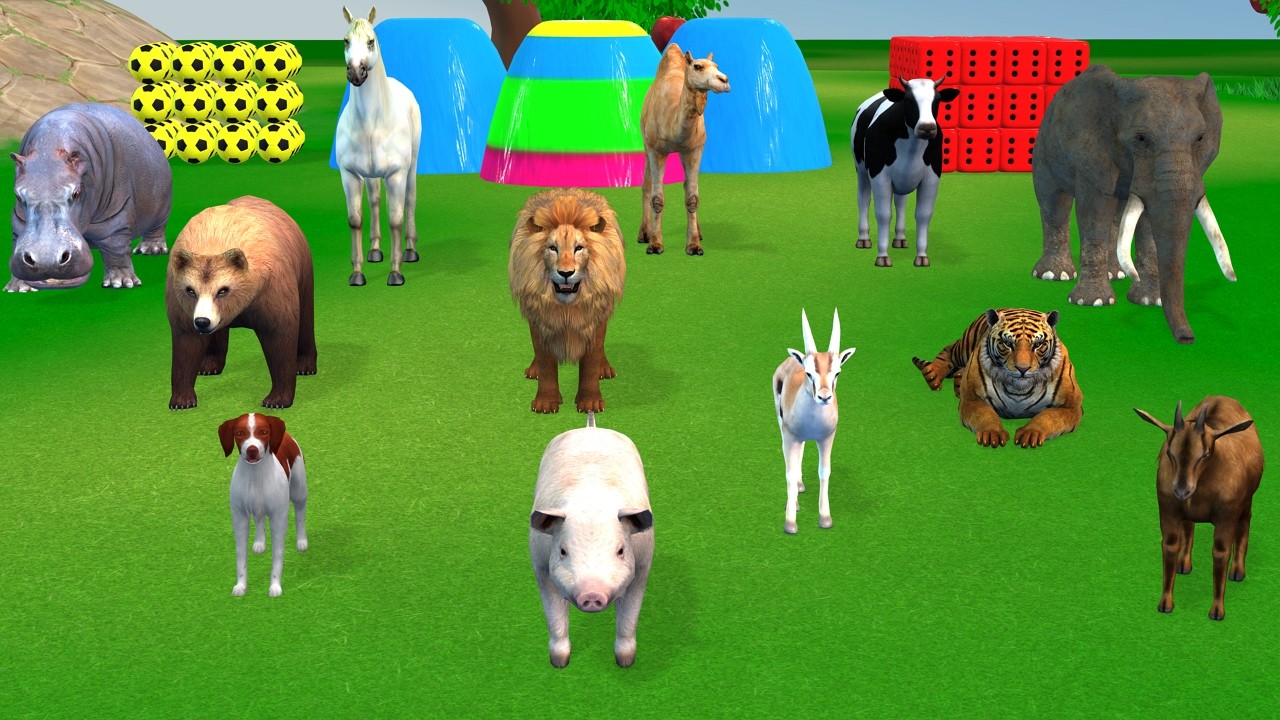 Long Slide Game with Cow Elephant Gorilla Hippopotamus Tiger 3d Animal Game Funny 3d Animals