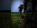 #nature #love #sad #song #flowers