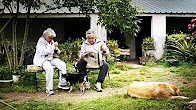 Pepe Mujica - Lekce z květinových záhonů