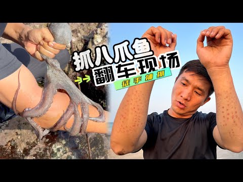 《Oman自驾》第8集：徒手捕抓大八爪鱼，结果被反咬无数口 #赶海 #海鲜美食 #阿曼 #抓螃蟹 #自驾 #抓八爪鱼 #户外 #退大潮