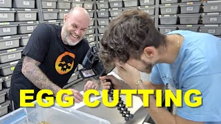 Making Those Double Hets For The Future | Enhancer Pieds