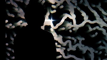 Let Go | Video Documentary