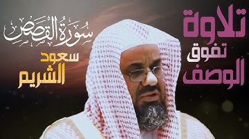 سورة القصص   سعود الشريم saud al shuraim   surah qasas