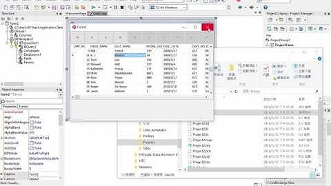 Using BCB and InterBase Express to Create an Application