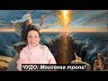 ЧУДО:  Моисеева тропа.  №1088