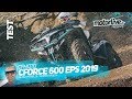 CF MOTO CFORCE 600 EPS 2019 | TEST MOTORLIVE