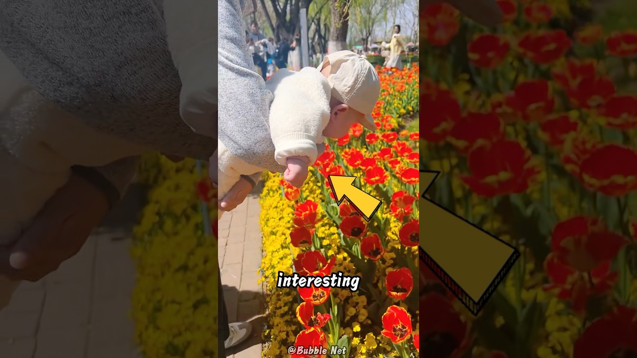 Effective flower appreciation for babies 