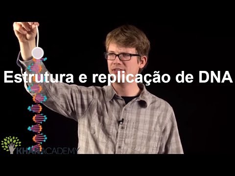 Vídeo: Como a estrutura do DNA permite que ele se replique?