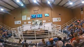 11-25-17  Top-Selling Bred Cows  $1,700  Thank you D & S Farms 3 1 25 Top Selling Bred Cows 3 800 Thank You Wayne Roberts