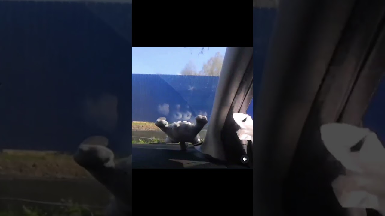 2202 2081 7263 5568 поддержите донатом