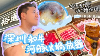 ¥239和牛+河豚放題！🍨Häagen-Dazs任食到飽？🍮裕蓮茶樓麻糬號角超驚喜！🔥#深圳美食 #和牛放題 #河豚料理 #深圳放題 #深圳旅遊 #深圳必去
