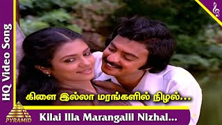 Kilai Illaa Video Song Kilinjalgal Tamil Movie Songs Mohan Poornima Bhagiyaraj