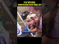 Stay with dogs warm healing every single day #funny #doggielife #funnyprank #pets #joyfulexperience
