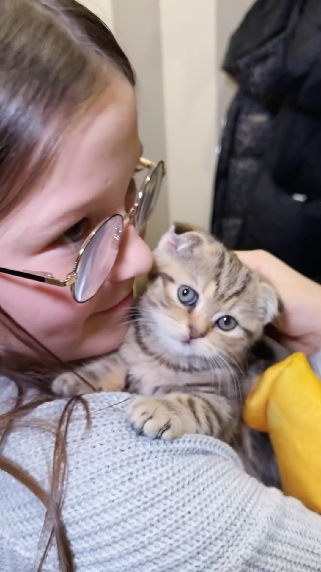 She Dreamed OF A Kitten ?? Dreams Should Come True!??