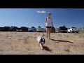 Hope Inspires Kylie & Pluto to Issue #WalkAdog Challenge - Life of Kylie