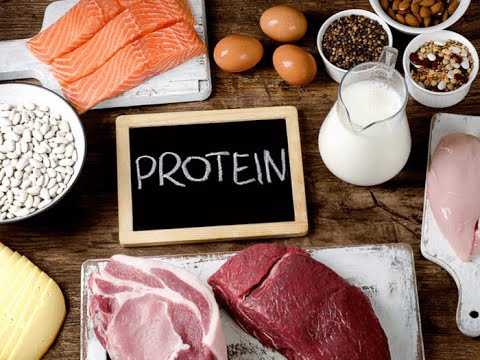 Do we need PROTEIN only for building Muscles? Basic information of ...