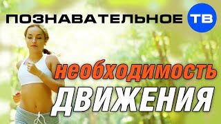 Необходимость движения (Познавательное ТВ, Герман Тюхтин)