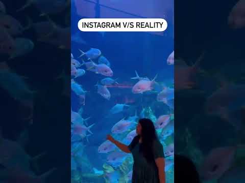 Dubai underwater zoo and acquarium💕 #burjkhalifa #dubaimall #shorts  #viral #youtubeshorts
