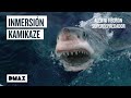 Misión submarina extrema entre tiburones blancos y orcas |Tiburones