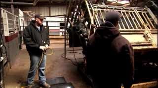 VetsOnCall - Dr. Goodman treats a hoof by hydraulic chute