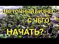 С чего начать тепличный (цветочный) бизнес .. важные составляющие