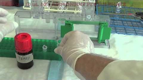 Preventig SDS-PAGE Gels From Leaking Using Stacking Gel