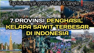 7 Provinsi penghasil kelapa sawit terbesar di Indonesia, di urutan berapa provinsi anda?