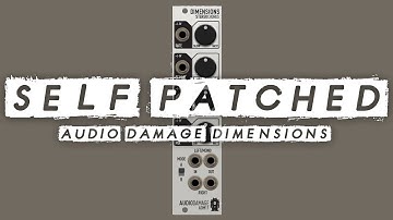 SELF PATCHED! Audio Damage Dimensions // Saturated reverb textures & screaming delay lines