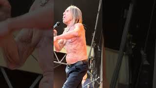 🔥👕 Red Hot Chili Peppers ft. Iggy Pop – how is this energy legal past the age of 70