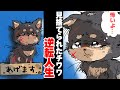 人間に嫌われ捨てられたボロボロのチワワ「僕が悪いの…?」→優しいヤンキーに拾われた結果…(Dr.アルの動物の気持ち #1)【 マンガ動画 】