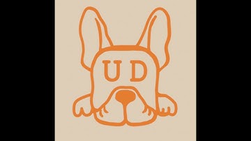 Resume Analysis for Software Engineers with Ben Gohlke of the Underdog Devs