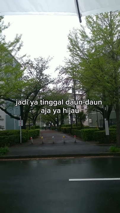 Musim Semi di Jepang Cuma Seminggu?