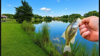 Did I find a new FAVORITE crappie spot? Pond Fishing