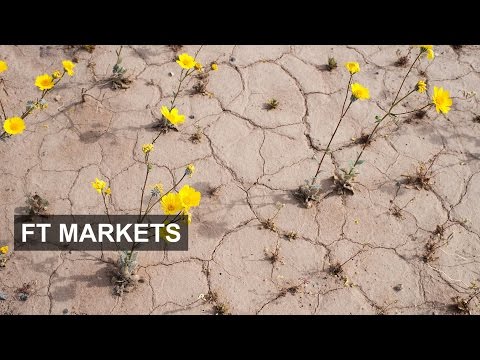 Video: Wat is een hogere zonale of marktwaarde?