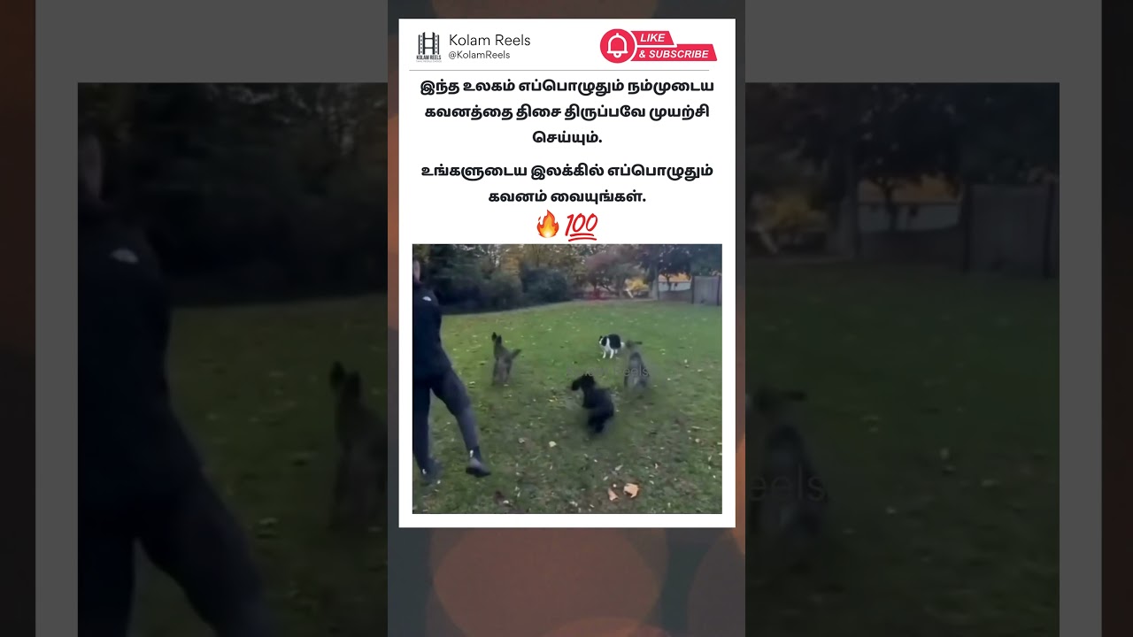 Tamil motivational whatsapp status | motivation video | motivational speech in tamil 