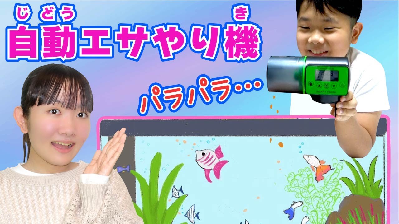 ◇旅行へ行っている間のお魚のごはんもこれでOK！「自動えさやり機