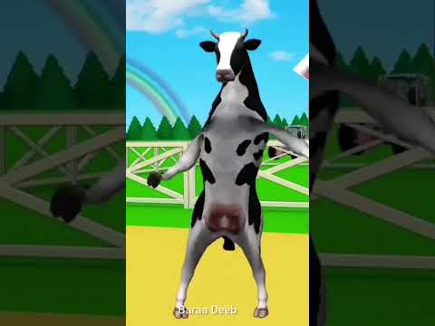 البقرة الراقصة | البقرة الضاحكة | بقرة الحلوب | بقرة العيد | the cow