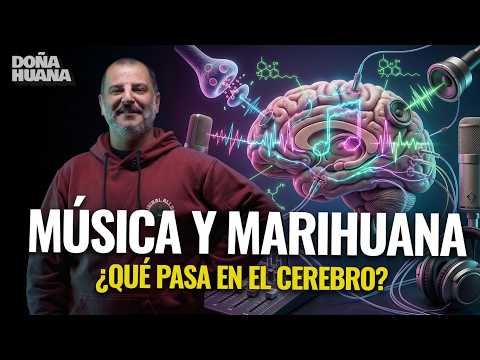How does cannabis affect the music we listen to?