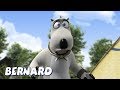 Bernard Bear | Good Camping Bud AND MORE | Cartoons for Children | Full Episodes