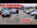 АВТОРЫНОК МЫ ТУТ РАБОТАЕМ ДЯДЯ В КУРСЕ 
