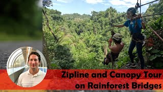 Zipline and Canopy Tour on Rainforest Bridges with Dark Night Cave Tubing Adventure in Belize
