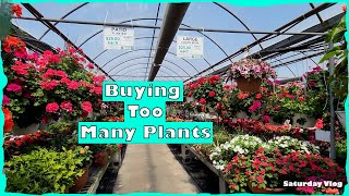 Shopping at Mega Greenhouse | Plant Haul | Annual Border & Dividing Pineapple Lilly | Saturday Vlog