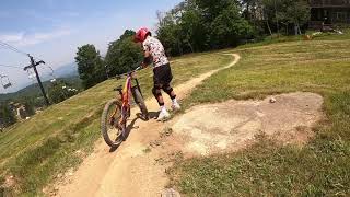 Hudson on Beech Mountain Green Mamba lower part