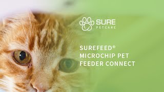 SureFeed® Microchip Pet Feeder Connect