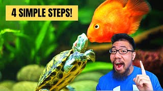 How To Keep Fish With Turtles screenshot 3