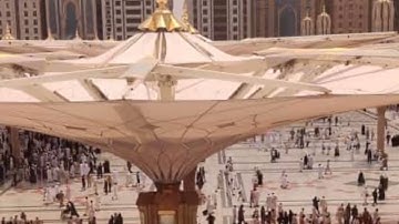 احمد بن طالب بن حميد سورة الكافرون بصوت جميل