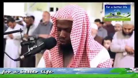 تلاوة خاشعة من سورة الأنعام برواية روح عن يعقوب الحضرمي للقارئ عكاشة كميني 💛