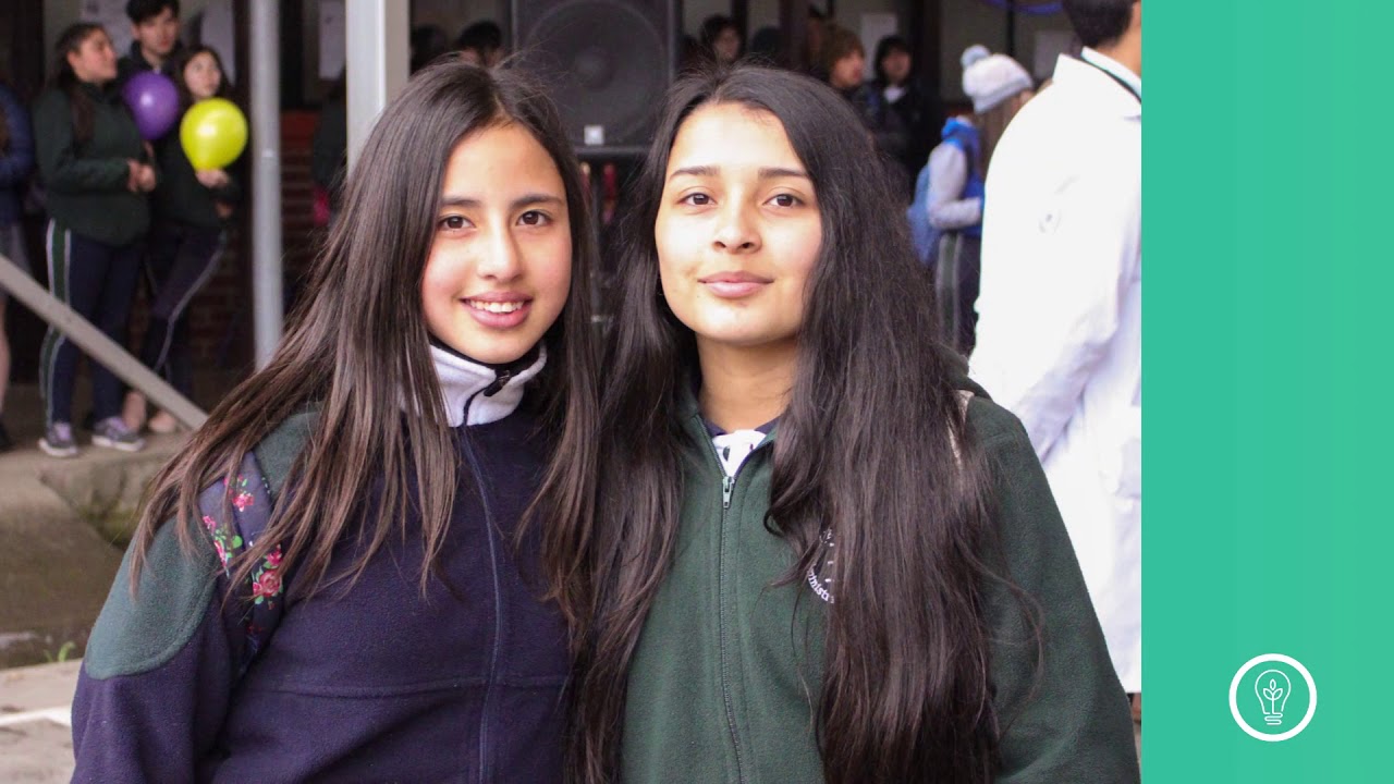 Sellos Escuela AC  Curicó