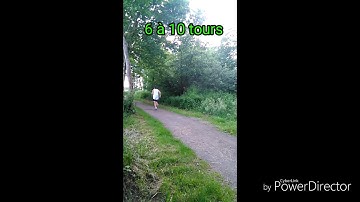 Wod Ocr  monkey bar rig Spartan Race