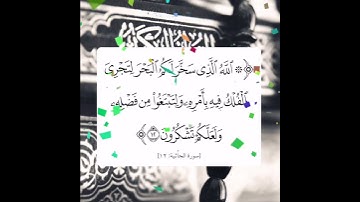 سورة الجاثية الآية ( 12 )